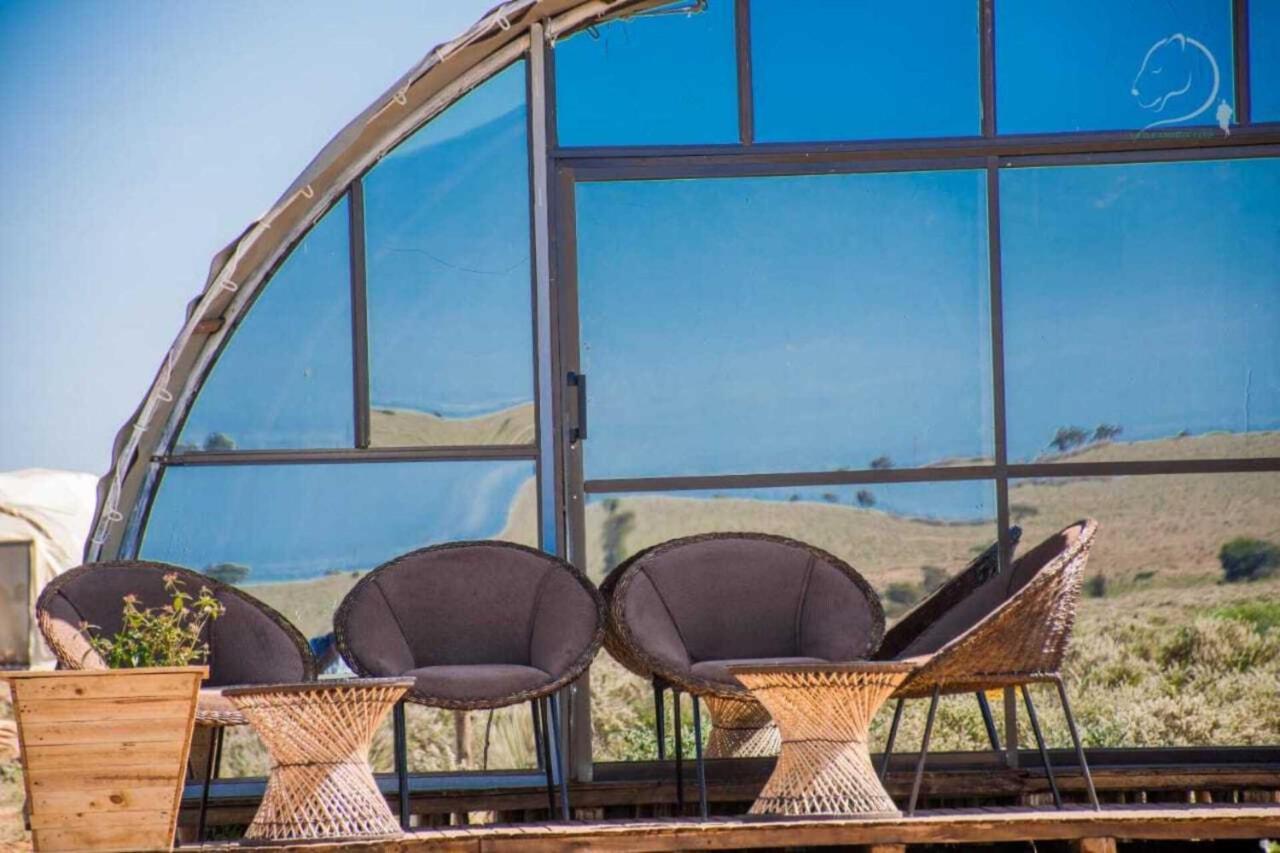 Amanya 2-Rooms Lioness Family Amboseli Luaran gambar