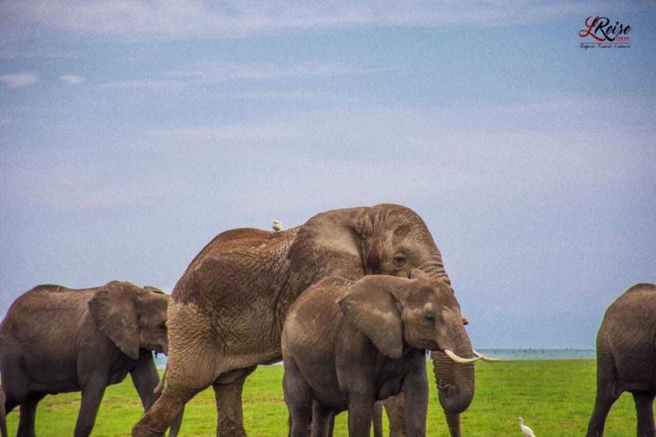 Amanya 2-Rooms Lioness Family Amboseli Luaran gambar