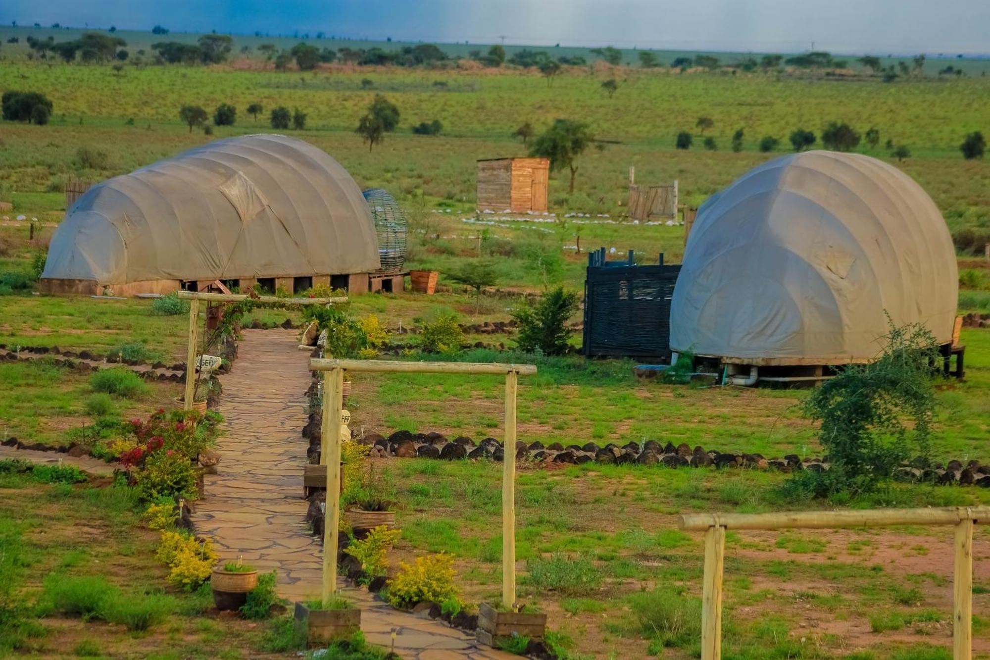 Amanya 2-Rooms Lioness Family Amboseli Luaran gambar